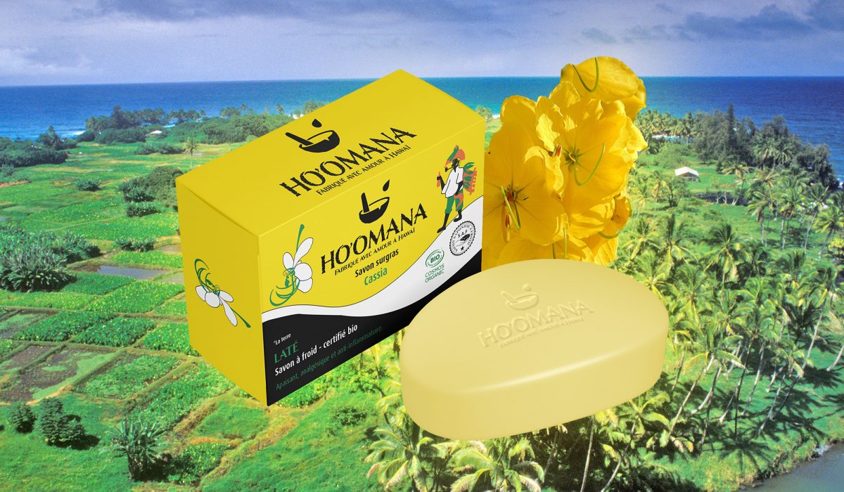 Mockup laté